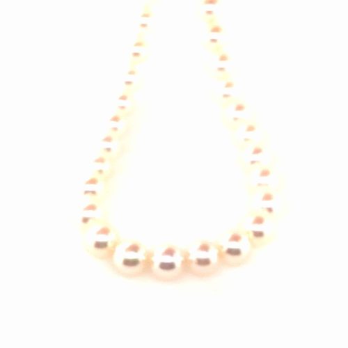 Alternative view of Perlekjede Akoya. 8,5-9 mm med turmalin/diamant lås