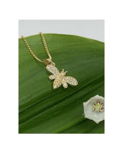 Espeland Anheng BIE Cz 585