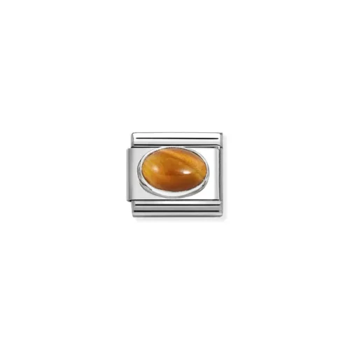 Charm, Composable Link, Tiger Eye stone