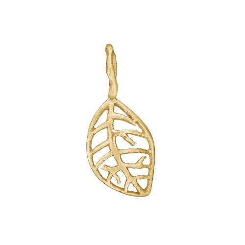 By Birdie - Anheng Beech Autumn 14k